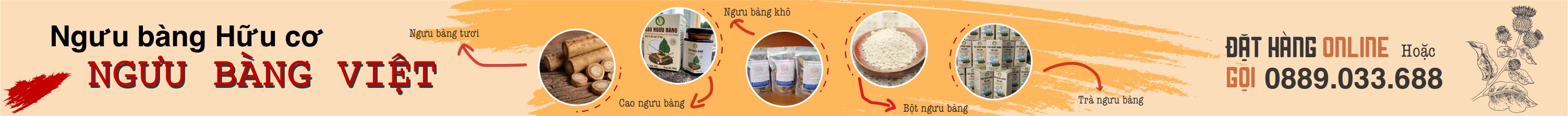 Ngưu Bàng Việt