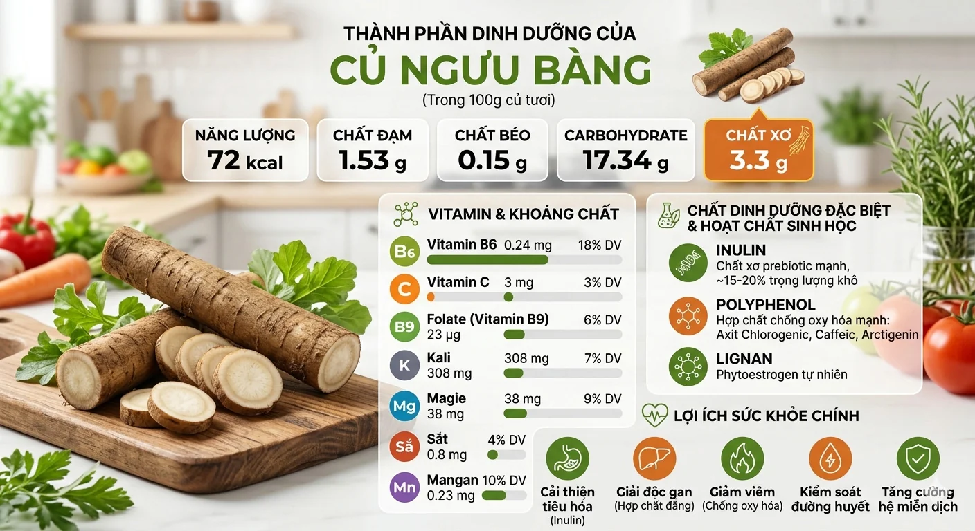 Thành phần dinh dưỡng củ ngưu bàng 100g vitamin khoáng chất inulin USDA