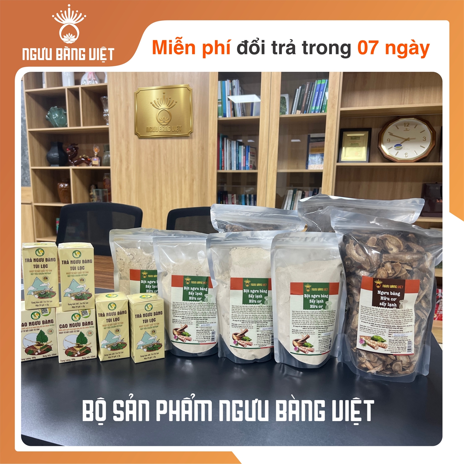 Sản phẩm ngưu bàng hữu cơ Ngưu Bàng Việt dạng tươi khô trà và cao chiết xuất giàu inulin